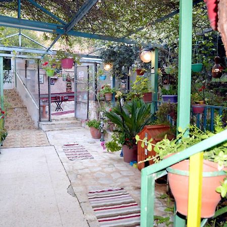 بيت الطبيعة Nature House Gérasa Exterior foto