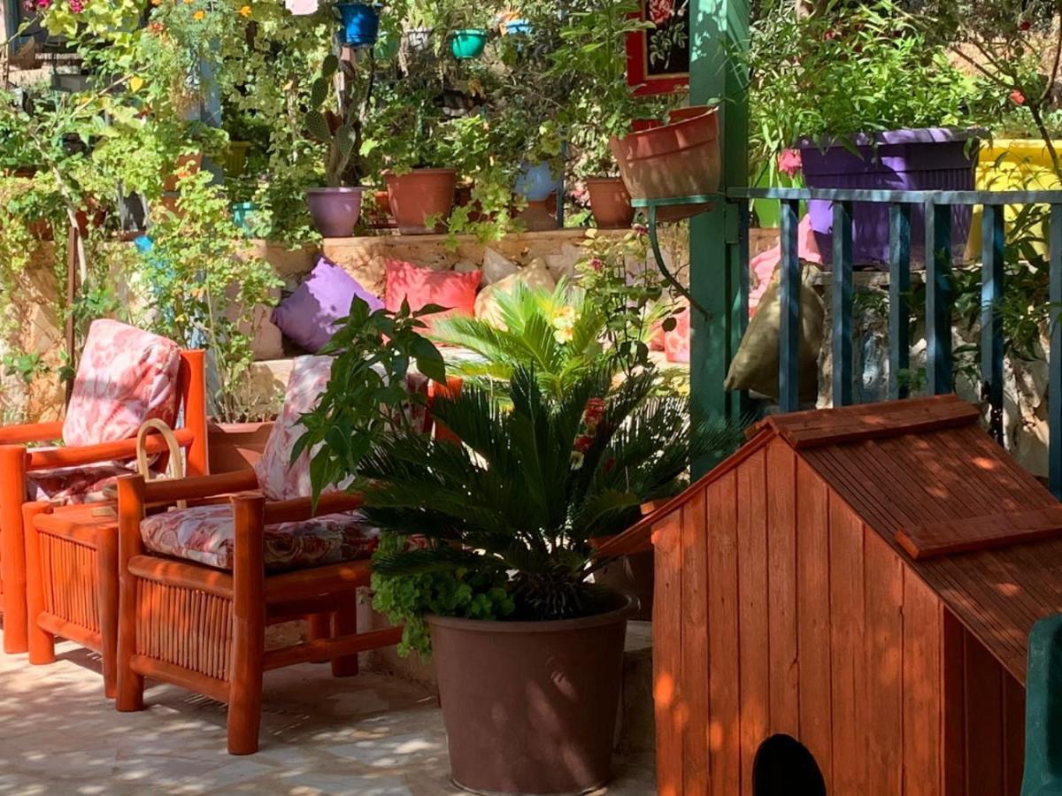 بيت الطبيعة Nature House Gérasa Exterior foto