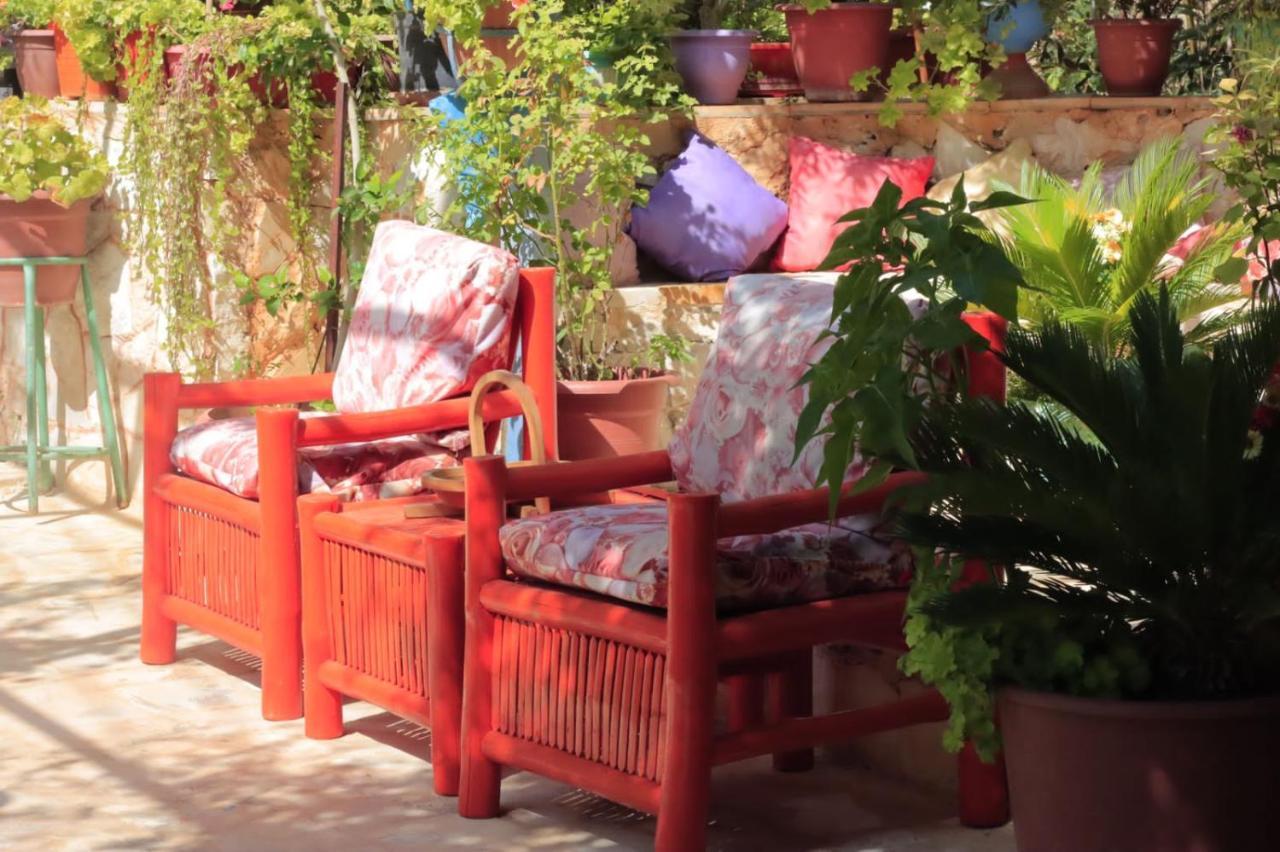 بيت الطبيعة Nature House Gérasa Exterior foto