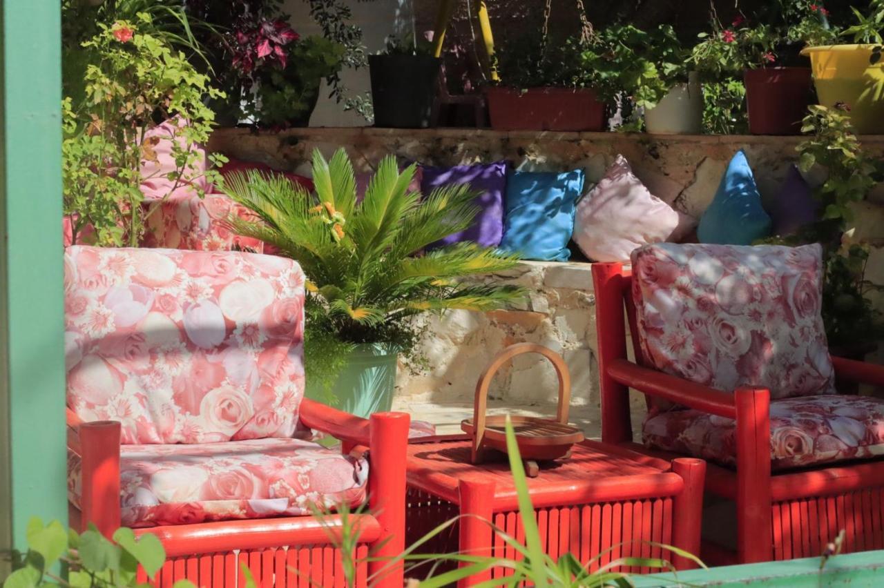 بيت الطبيعة Nature House Gérasa Exterior foto