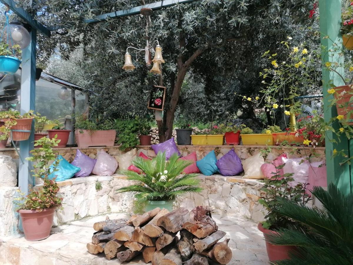 بيت الطبيعة Nature House Gérasa Exterior foto