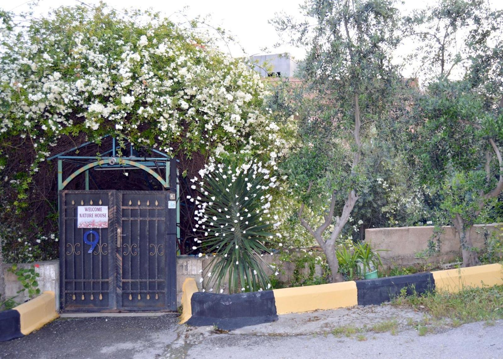 بيت الطبيعة Nature House Gérasa Exterior foto