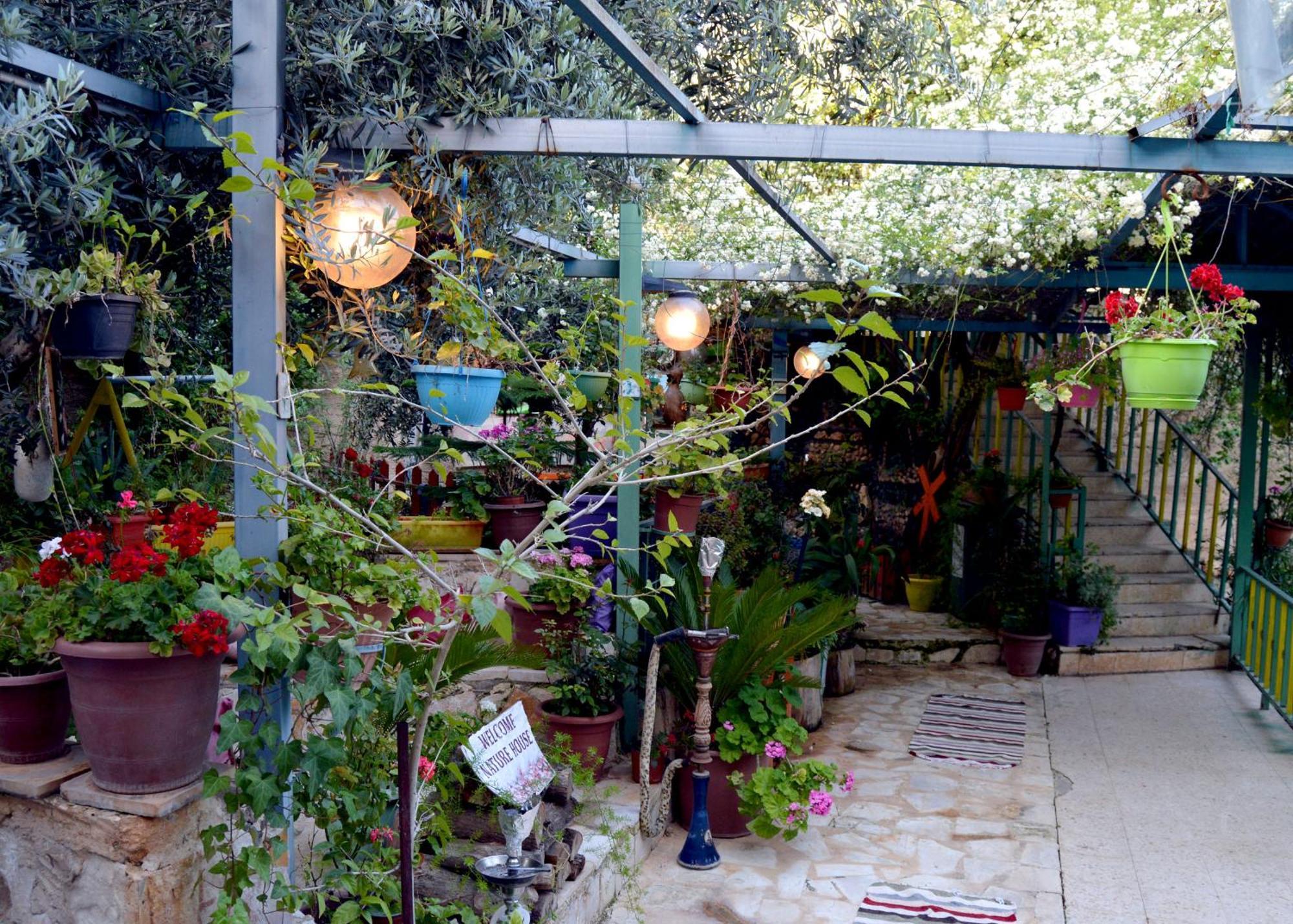 بيت الطبيعة Nature House Gérasa Exterior foto